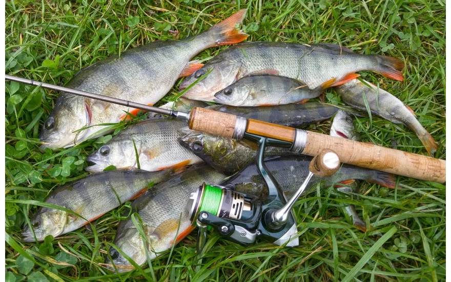 Путилашвилли Минасцист Потранитович